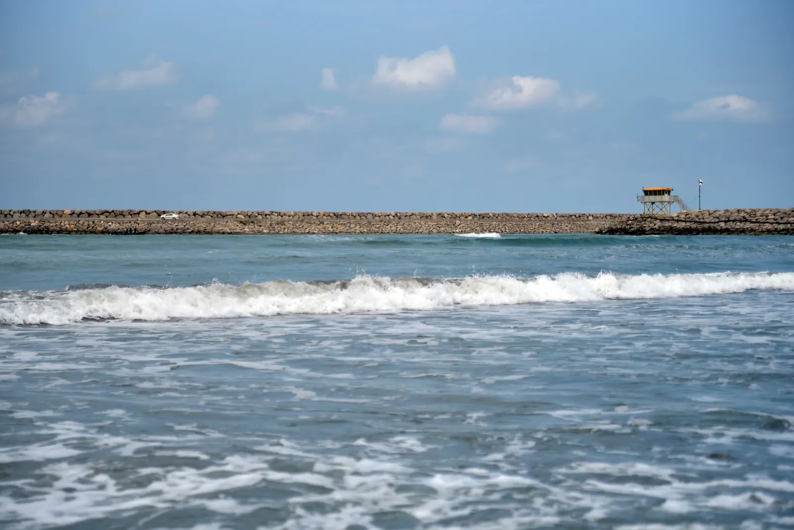 Saravan Forest near Rasht